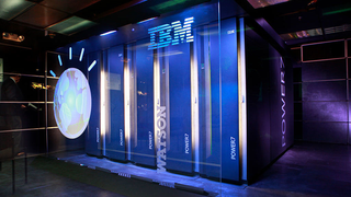IBM Is Clueless About AI Risks<em></em>